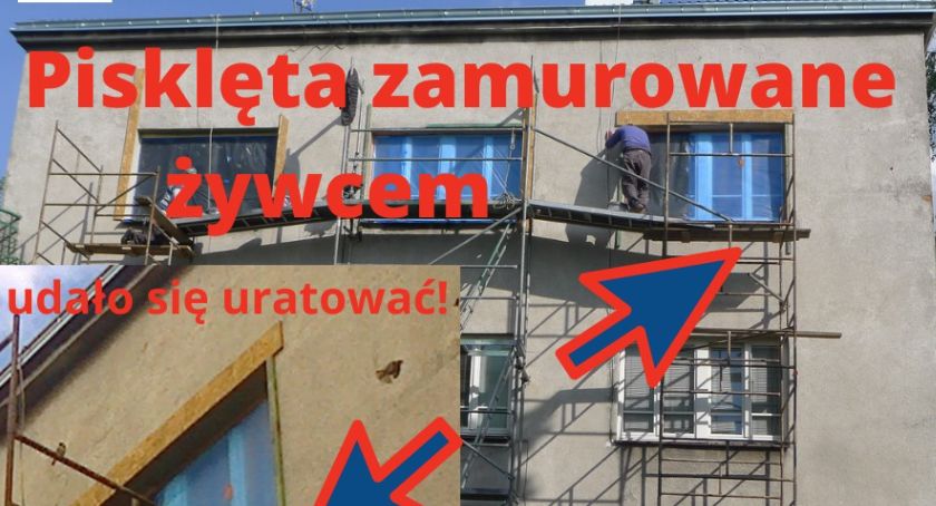 Budynek w Warszawie (Grafika)