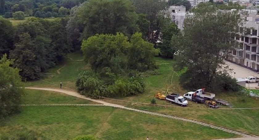 Wycinka drzew w Parku Skaryszewskim