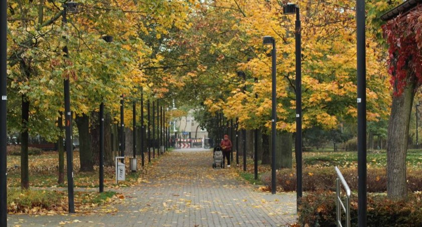Park Znicza zdjęcia