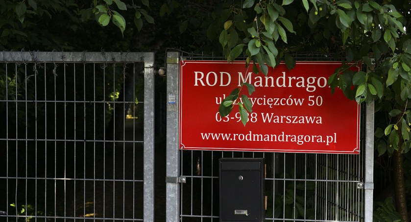 zdjęcie Działki ROD