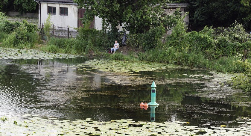 zdjęcie Jezioro Kamionkowskie