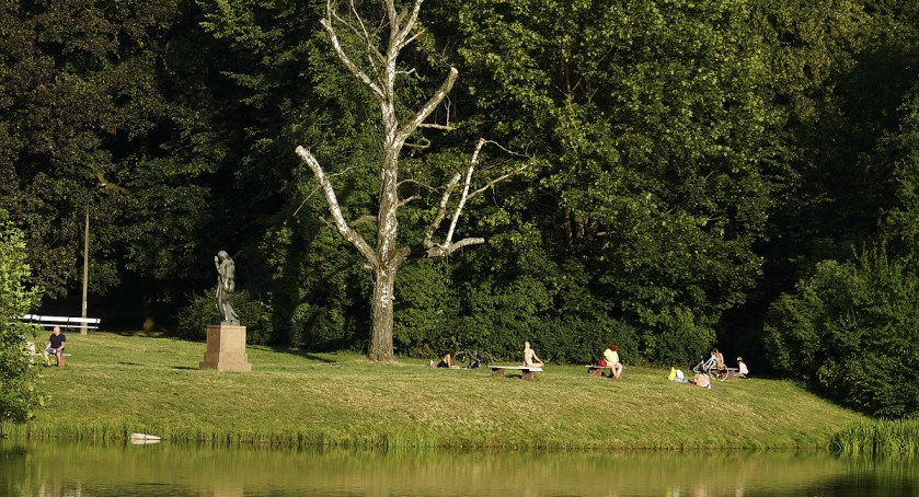 zdjęcie Park Skaryszewski 