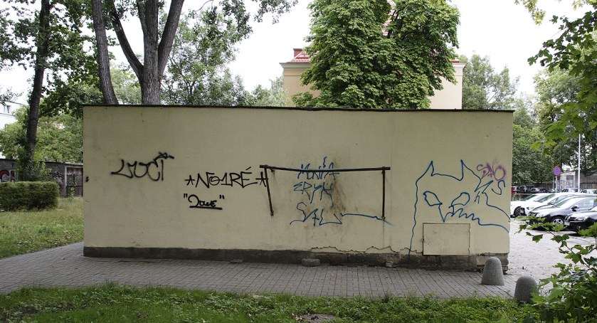 zdjęcie trzepak 