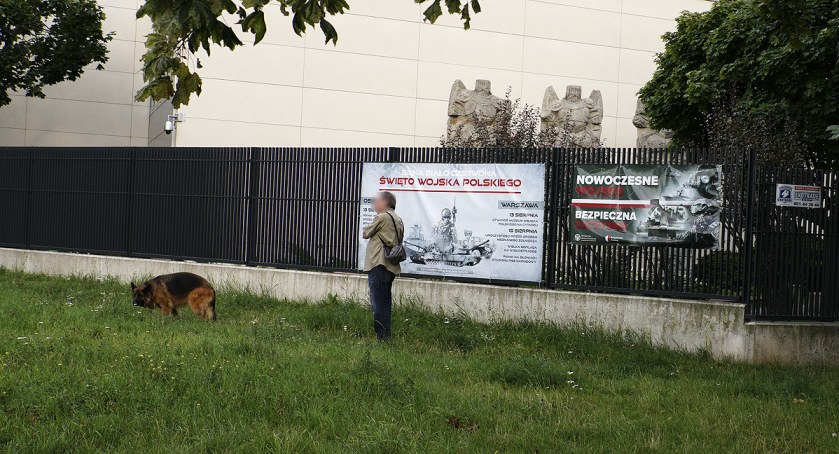 zdjęcie pies 