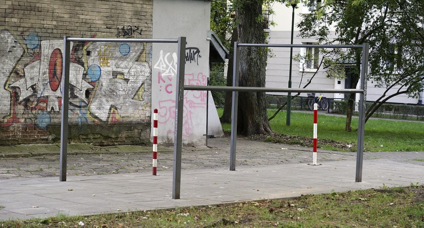 zdjęcie trzepak 