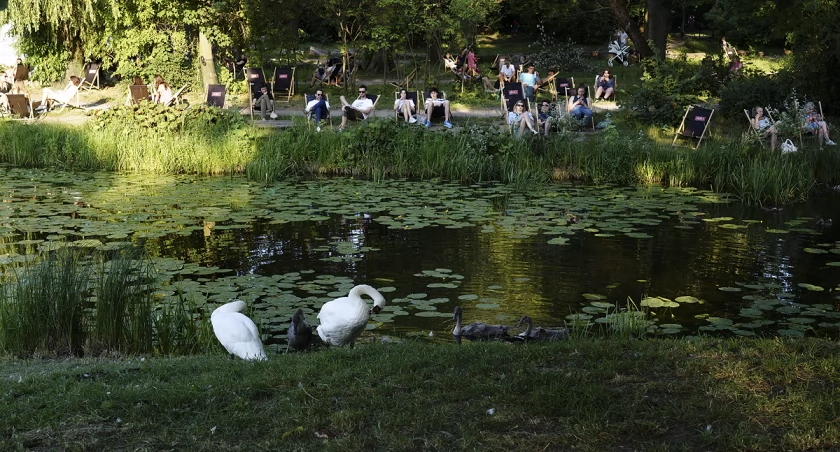 zdjęcie Park Skaryszewski 