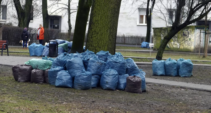 zdjęcie worki na liście 