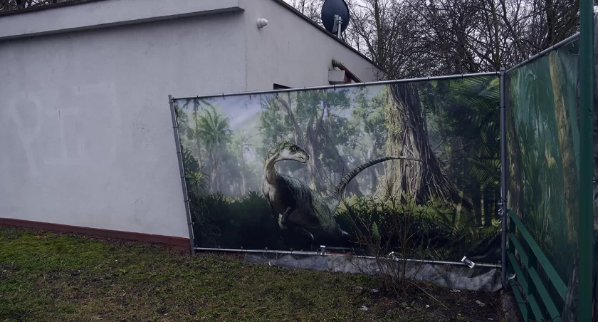 zdjęcie Dinoworld 