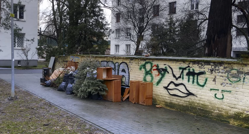 zdjęcie śmietnik 