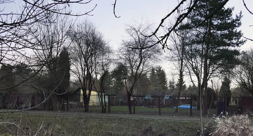 zdjęcie Rodzinne ogrody działkowe przy ulicy Waszyngtona 