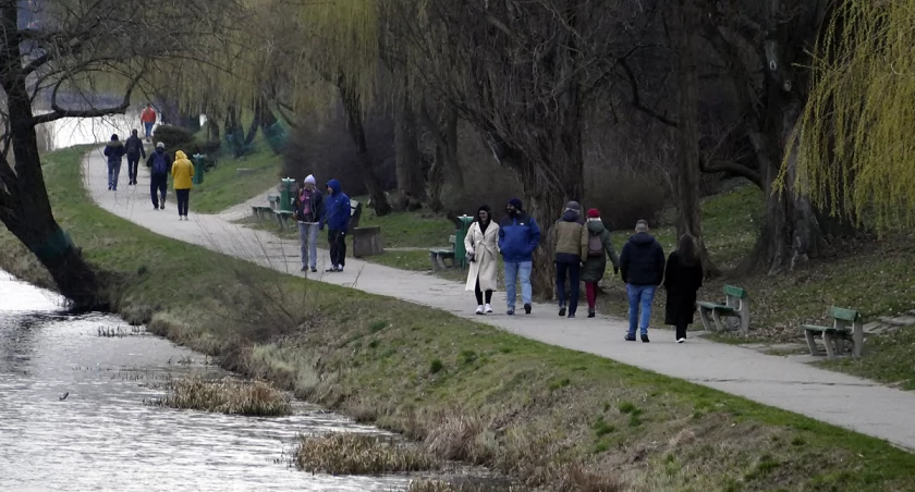 zdjęcie park  