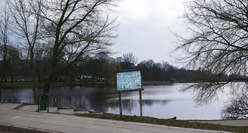 zdjęcie Park Skaryszewski 