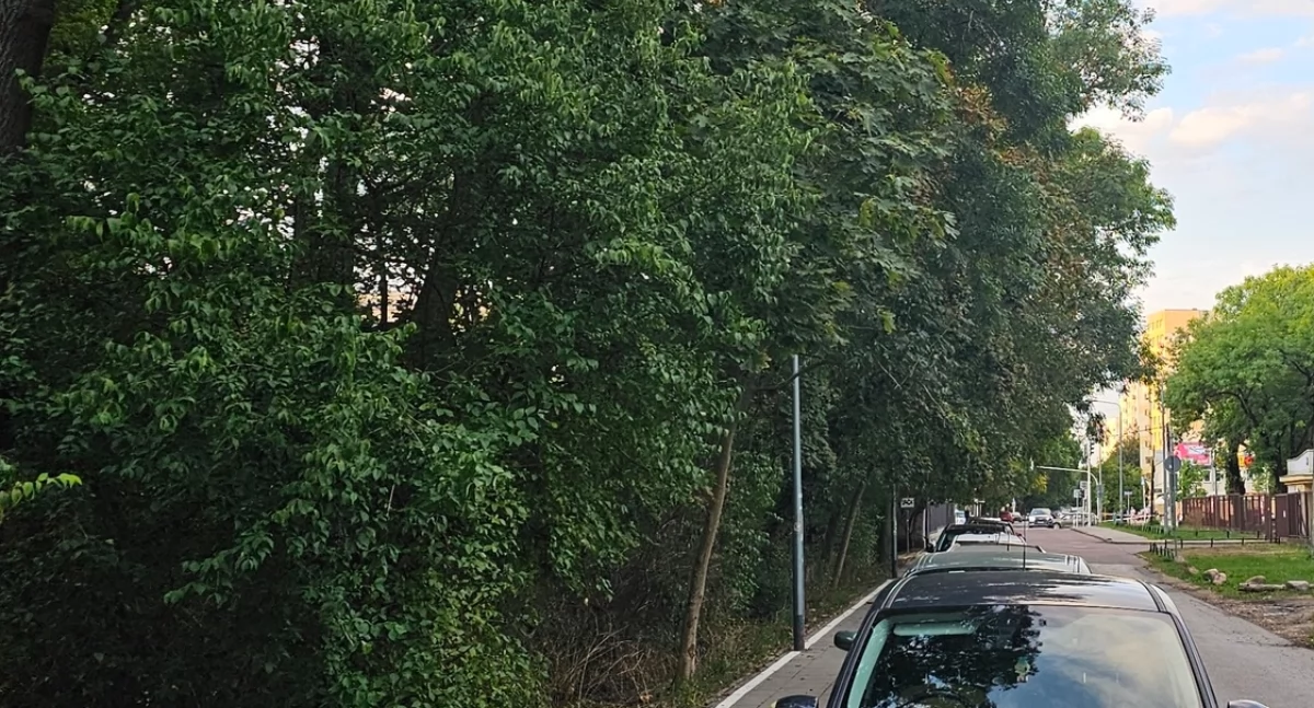 Ulice, Międzynarodowa nadchodzą duże zmiany - zdjęcie, fotografia