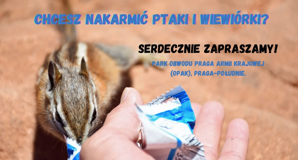 Zwierzęta, Zimowe dokarmianie ptaków wiewiórek Pradze Południe! - zdjęcie, fotografia