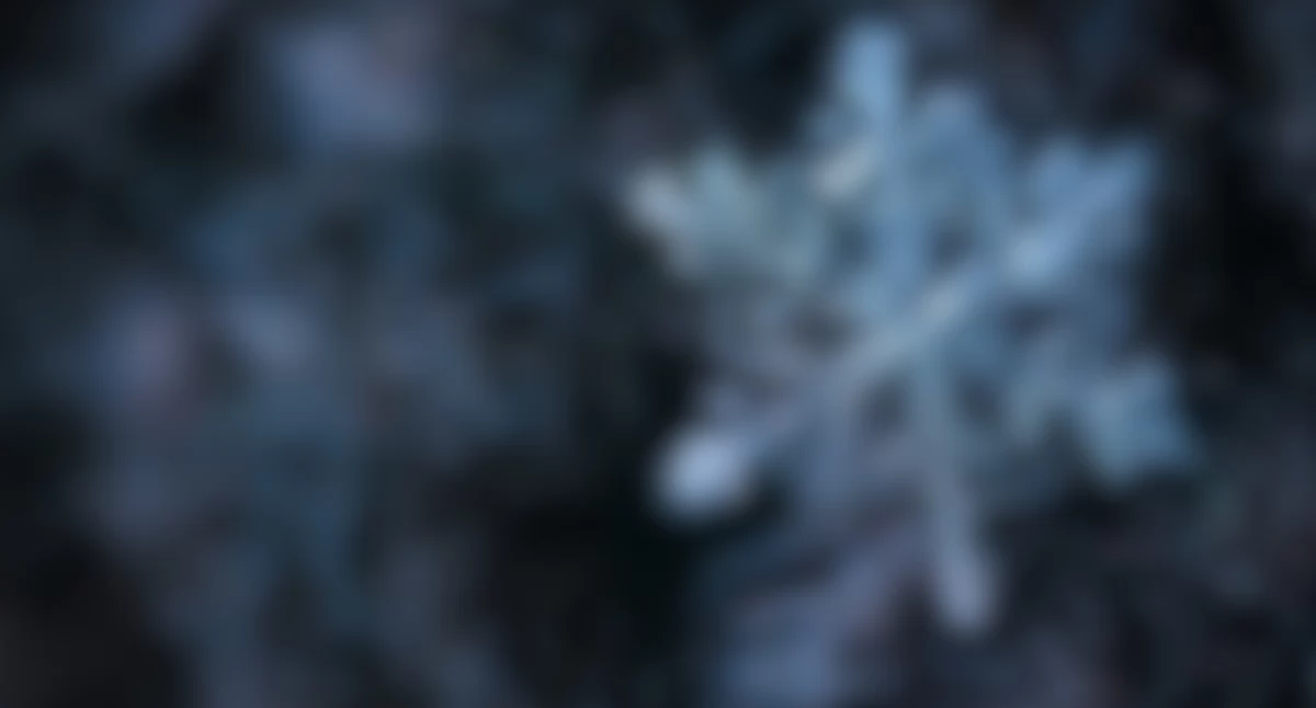 Opieka społeczna, Bądźmy Obojętni Zagrożenia Związane Wychłodzeniem Organizmu! - zdjęcie, fotografia