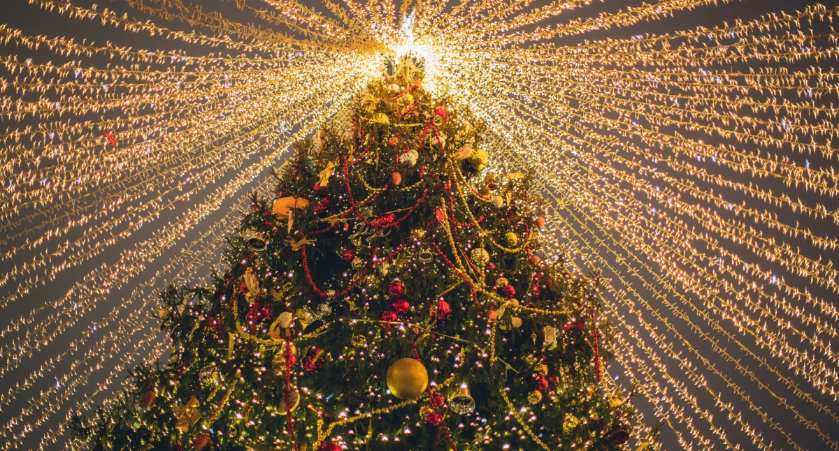 Rekreacja, Darmowe Wydarzenia Pradze Południe Grudzień - zdjęcie, fotografia