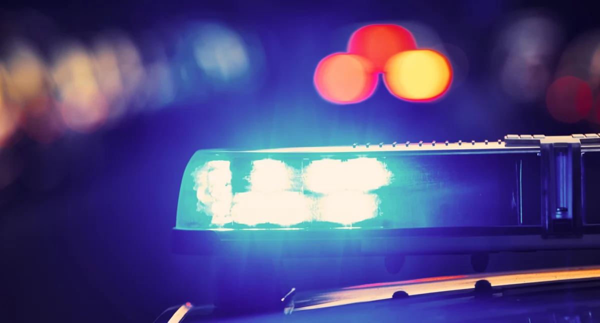 Działania służb, Łowcy cieni czeska policja skuteczna współpraca walce przestępczością zorganizowaną - zdjęcie, fotografia