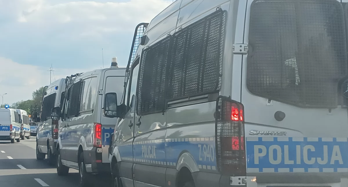 Zieleń, Polacy uwielbiają rozrywkę niektórych może skończyć aresztem - zdjęcie, fotografia