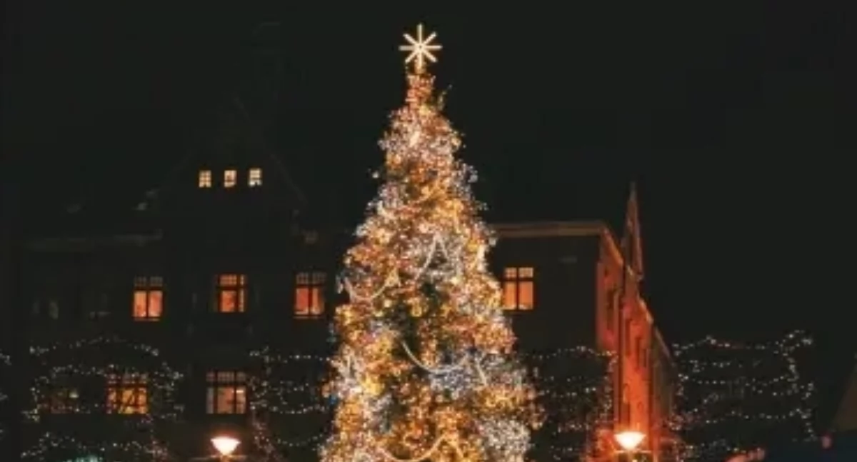 Imprezy plenerowe, TYLKO ILUMINACJA CHOINKI Wspólna celebracja Pradze Południe - zdjęcie, fotografia