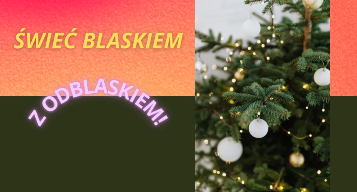 Działania służb, Świeć Blaskiem Odblaskiem Choinka Pradze Południe stoi! - zdjęcie, fotografia