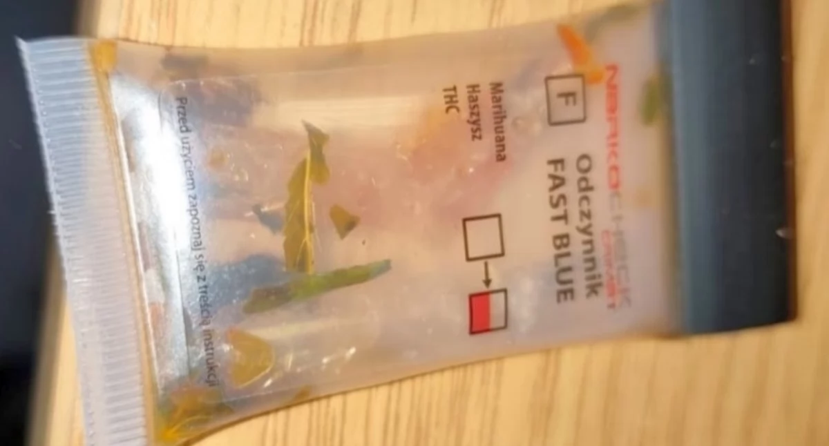 Działania służb, Ochrona Dworca poprosiła strażników pomoc Sytuacja Dworcu Wschodnim - zdjęcie, fotografia