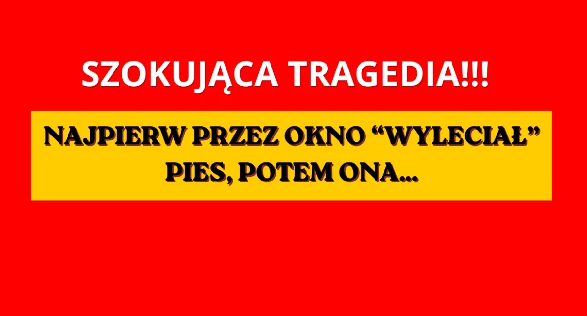 Działania służb, SZOKUJĄCA TRAGEDIA Pradze Południe Najpierw zginął potem - zdjęcie, fotografia