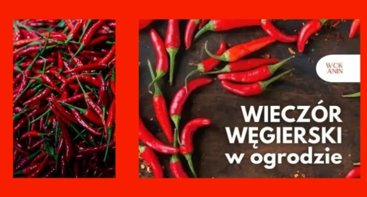 Imprezy plenerowe, WIECZÓR WĘGIERSKI OGRODZIE niedługo Wawrze! - zdjęcie, fotografia