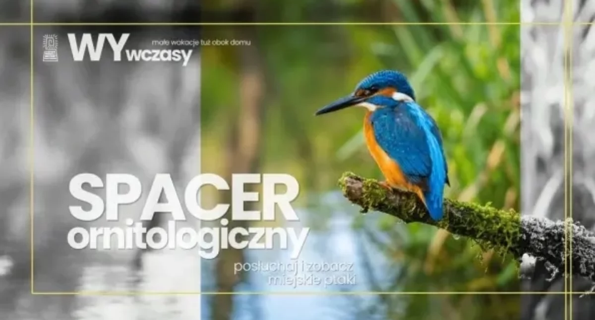 Ciekawe miejsca, WYWCZASY SPACER ORNITOLOGICZNY Pradze Południe! - zdjęcie, fotografia