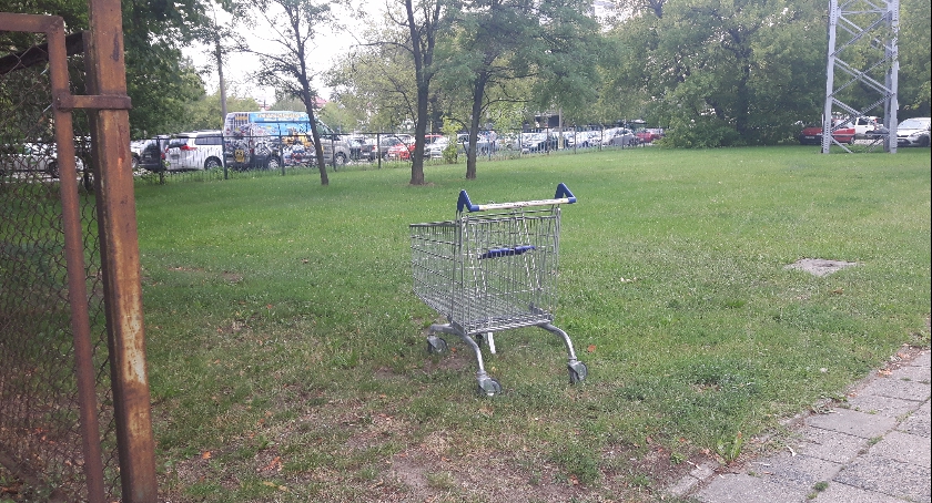 Zdjęcie Nie Śmieszny - fotografia