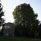 zdjęcie nr 7