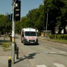 Fotka nr 1 z 16