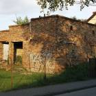 Fotka nr 5 z 8