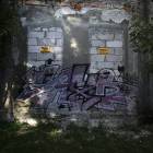 Fotka nr 4 z 17