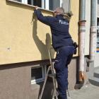 Fotka nr 1 z 3