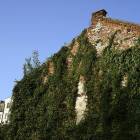 zdjęcie nr 14