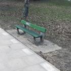 zdjęcie nr 8
