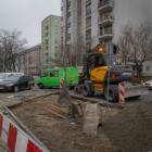 Fotka nr 1 z 5