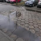 zdjęcie nr 7