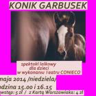 zdjęcie nr 11
