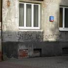 zdjęcie nr 14