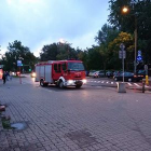 Fotka nr 5 z 6