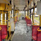 zdjęcie nr 7