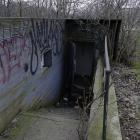 Fotka nr 5 z 7