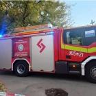 Fotka nr 1 z 3
