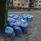 zdjęcie nr 4
