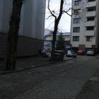 Fotka nr 3 z 6