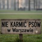 Fotka nr 0 z 1