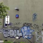 Fotka nr 1 z 13