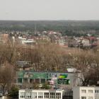 zdjęcie nr 13