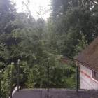 zdjęcie nr 8